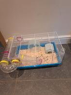 Hamster + kooi. ZEER ZUIVER., Dieren en Toebehoren, Ophalen, Kooi, Hamster
