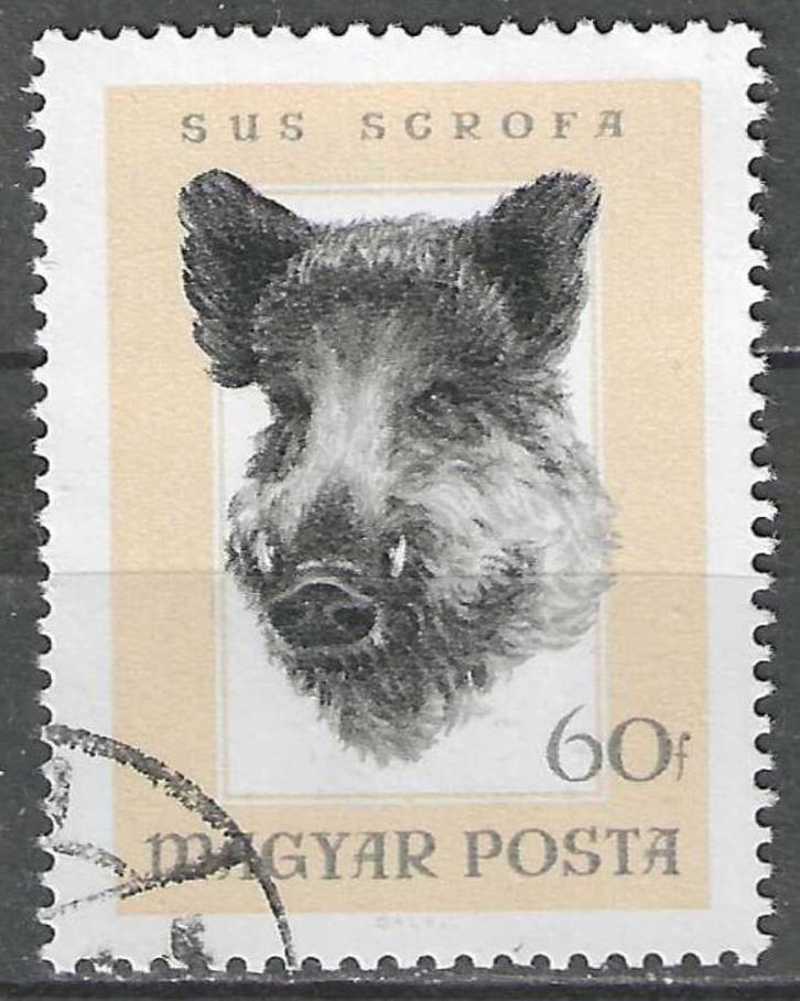 Hongarije 1966 - Yvert 1844 - Jachttrofeeen (ST), Postzegels en Munten, Postzegels | Europa | Hongarije, Verzenden