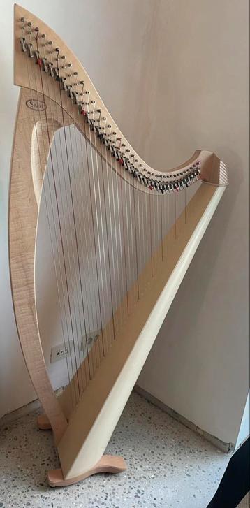 Prachtig ZGAN Salvi Titan Harp (38 snaren) beschikbaar voor biedingen