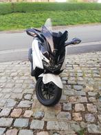Scooter Honda Forza 125cc, Scooter, Particulier