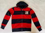 “Tommy Hilfiger” sweat à capuche, Kleding | Heren, Truien en Vesten, Ophalen, Maat 52/54 (L), Tommy Hilfiger, Zo goed als nieuw