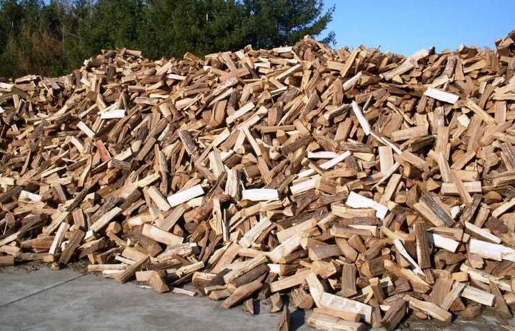 bois de chauffage, Tuin en Terras, Brandhout, Blokken, Beukenhout, 6 m³ of meer, Ophalen of Verzenden