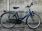 Kinderfiets, Fietsen en Brommers, Ophalen, Gebruikt, 20 inch of meer, Big bike terrain