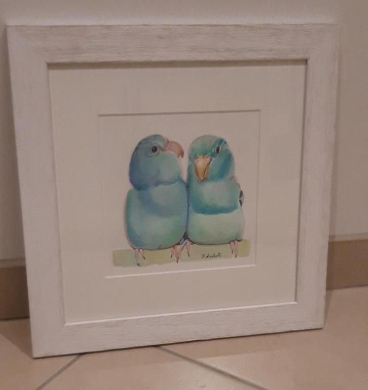 mooie houten kader met print van papegaaien, Huis en Inrichting, Woonaccessoires | Schilderijen, Tekeningen en Foto's, Zo goed als nieuw