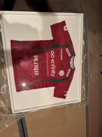Gesigneerd shirt Zulte Waregem, Verzamelen, Sportartikelen en Voetbal, Ophalen, Shirt