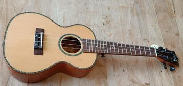 De betere ukelele voor de klas, concertukulele beschikbaar voor biedingen