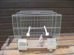 Vogelkooi met 3 zebravinkjes, Dieren en Toebehoren, Ophalen, Zo goed als nieuw, Metaal, Vogelkooi