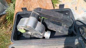 Muurvrees  beschikbaar voor biedingen