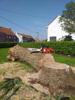 Omgewaaide boom, Tuin en Terras, Brandhout, Ophalen of Verzenden