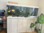 Aquarium aquatlantis splendid ultra 150x50, Dieren en Toebehoren, Ophalen, Zo goed als nieuw, Gevuld zoetwateraquarium