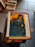 Paul Gauguin - Skira boek, Boeken, Ophalen of Verzenden