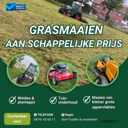 GRASMAAIEN AAN SCHAPPELIJKE PRIJS, Tuin en Terras, Gras en Kunstgras, Nieuw, Gras, 10 tot 20 m², Ophalen
