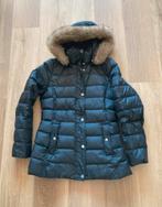 Donsjas Tommy Hilfiger, Tommy hilfiger, Zwart, Ophalen of Verzenden, Zo goed als nieuw
