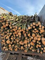 Container vers appel brandhout, Tuin en Terras, Ophalen of Verzenden, Stammen