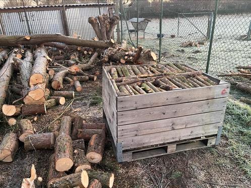 Dennen brandhout, Jardin & Terrasse, Bois de chauffage, Enlèvement ou Envoi