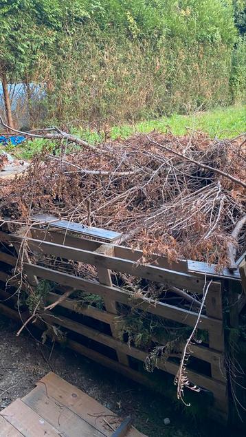 Snoeihout gratis beschikbaar voor biedingen