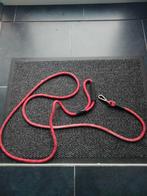 laisse pour chien, Enlèvement ou Envoi, Laisse pour chien