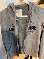 Pull à capuche gris taille XS Abercrombie & Fitch, Vêtements | Femmes, Pulls & Gilets, Comme neuf, Taille 34 (XS) ou plus petite