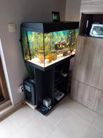 a vendre aquarium juwel 110 litres avec meuble, Dieren en Toebehoren, Ophalen, Zo goed als nieuw, Leeg aquarium