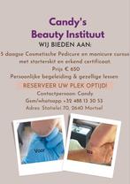 Cursus Cosmetische Manicure en Pedicure, Ophalen of Verzenden