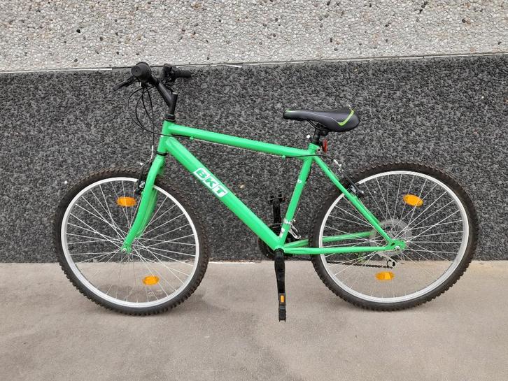 Fiets, Fietsen en Brommers, Fietsen | Heren | Herenfietsen, Gebruikt, Versnellingen, Ophalen