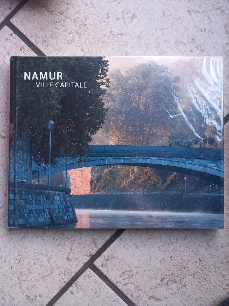 Namur Ville capitale, Boeken, Streekboeken en Streekromans, Ophalen of Verzenden, Nieuw