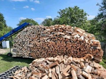 Beste kwaliteit brandhout beuken eiken blok  beschikbaar voor biedingen