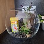 Visbokaal met toebehoren, Dieren en Toebehoren, Vissen | Aquaria en Toebehoren, Ophalen, Zo goed als nieuw