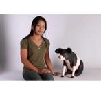 Pig Sitting Pink & Black – Varken beeld Lengte 59 cm, Ophalen, Nieuw