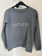 Grijze sweater dame - Antwerp - small, Vêtements | Femmes, Pulls & Gilets, Gris, Enlèvement ou Envoi, Taille 36 (S), Antwerp
