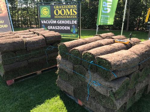 Grasmatten Top kwaliteit, gazon op rol, graszoden voor tuin, Tuin en Terras, Gras en Kunstgras, Nieuw, Gras, Ophalen of Verzenden