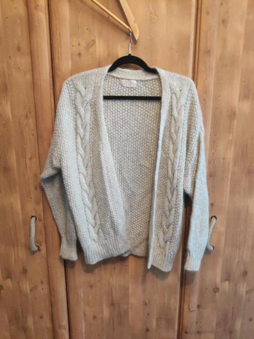 Gebreide gilet Sunny Studio, Kleding | Dames, Truien en Vesten, Zo goed als nieuw, Ophalen of Verzenden