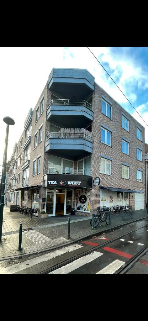 Commerce à remettre, Articles professionnels, Exploitations & Reprises