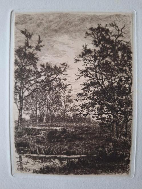 Typische ets van Alfred Elsen Landschap met hoge bomen, Antiek en Kunst, Kunst | Etsen en Gravures, Ophalen of Verzenden