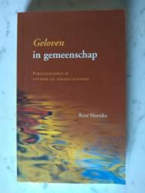 Geloven in gemeenschap|René Hornikx 76242569, Livres, Livres Autre, Comme neuf, Enlèvement ou Envoi