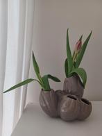 Serax. Maxibloem (tulpen)vaas Koraal. 6 gaten. Taupe., Overige kleuren, Aardewerk of Porselein, Ophalen of Verzenden, Zo goed als nieuw