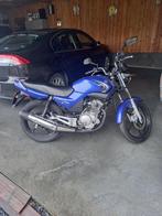 YAMAHA YBR125, Motos, Tourisme, Particulier, 1 cylindre, 125 cm³