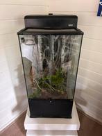 Exo Terra terrarium 90x45x45, Enlèvement, Comme neuf