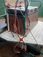 Mexicaans hoofdstel paard, Enlèvement, Utilisé, Autres espèces