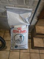 Royal canin, Enlèvement, Chien