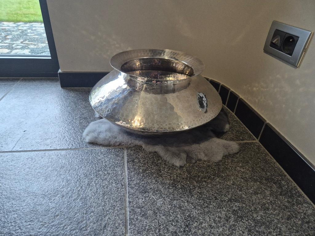 Gervasoni Blu gehamerde plantenbak, Ophalen