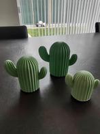 Kleine cactusjes in ecohars (zie foto’s & omschrijving), Enlèvement, Cactus