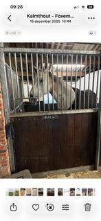 GEZOCHT voorwand stal roosen, Animaux & Accessoires, Box & Pâturages