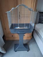 Vogelkooi, Enlèvement, Cage à oiseaux