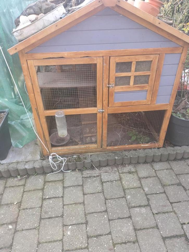 Groot konijnen kippen hok  hotel, Animaux & Accessoires, Rongeurs & Lapins | Cages & Clapiers, Niche, Cobaye, Enlèvement