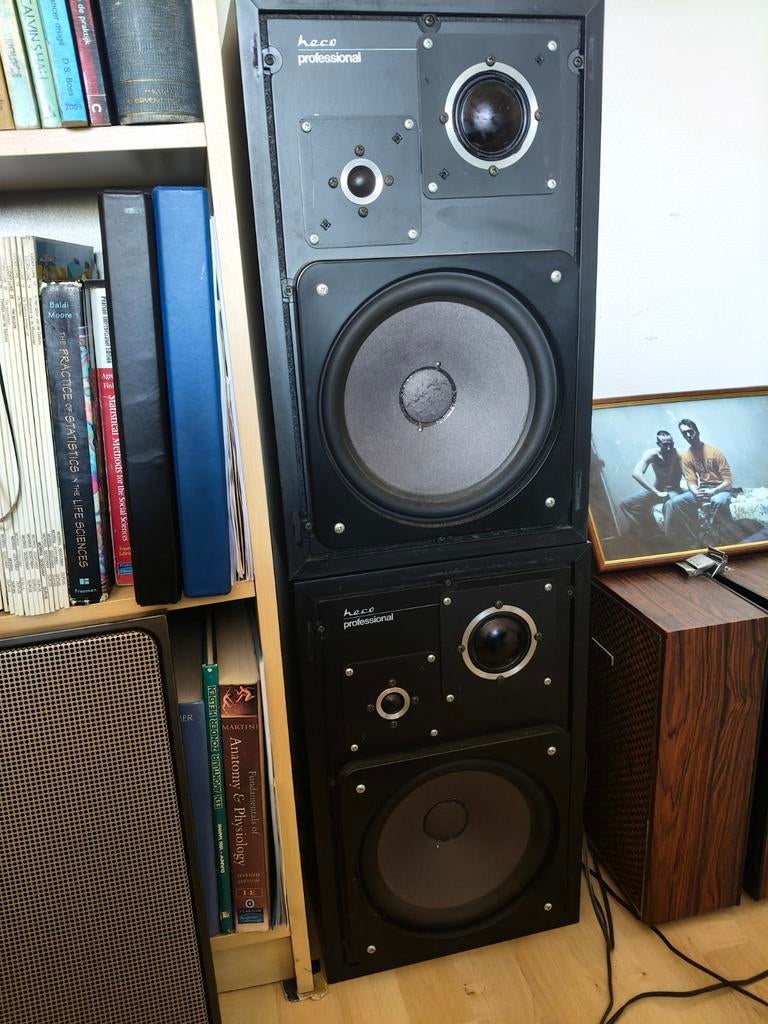 Heco professional 550 speakers, TV, Hi-fi & Vidéo, Enceintes, Autres marques, 60 à 120 watts, Enlèvement, Utilisé