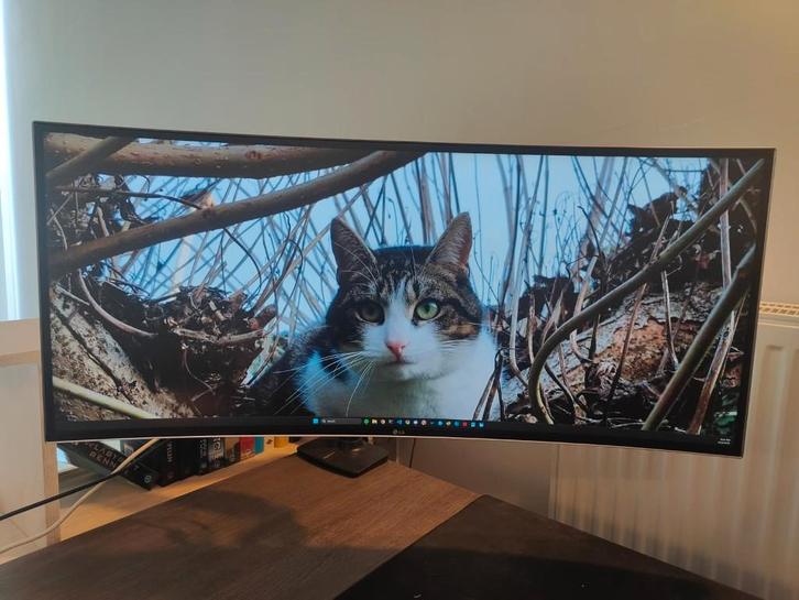 LG Ultrawide monitor 34", Computers en Software, Monitoren, Gebruikt, 61 t/m 100 Hz, DisplayPort, HDMI, USB-C, Ingebouwde speakers