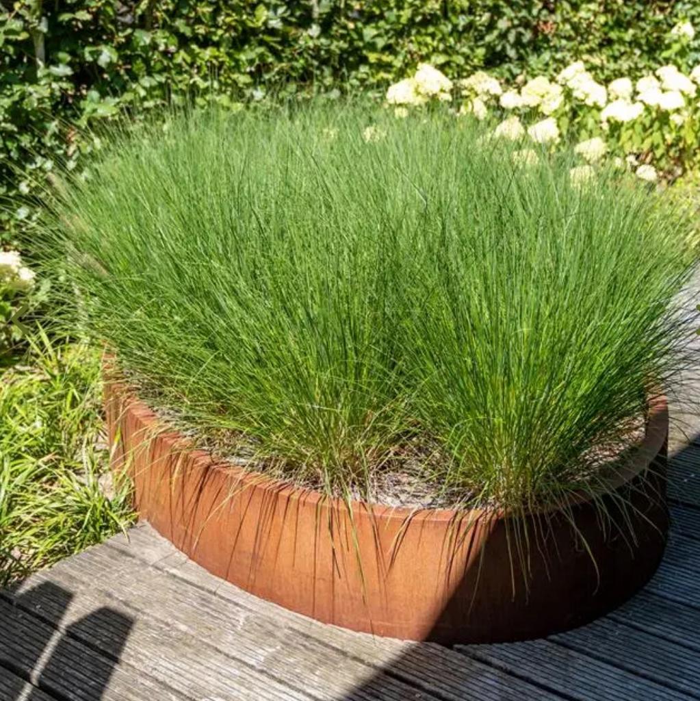 Acier corten ou aluminium peint. Boîtes à fleurs ovales, Jardin & Terrasse, Enlèvement, Neuf, Métal