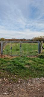 Weide te huur regio Oudenaarde