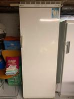 grote staande diepvriezer (kastmodel) met laden - Bauknecht, Electroménager, Congélateurs, Congélateur, 160 cm ou plus, Enlèvement